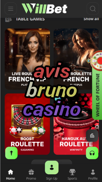 Avis Bruno Casino - French Casino Review-casinoorder.vip