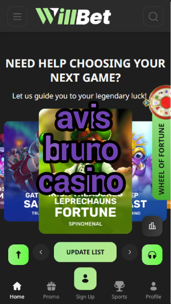 Avis Bruno Casino - French Casino Review-casinoorder.vip