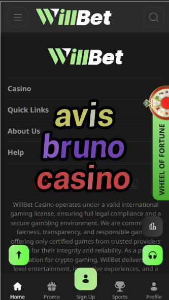 Avis Bruno Casino - French Casino Review-casinoorder.vip