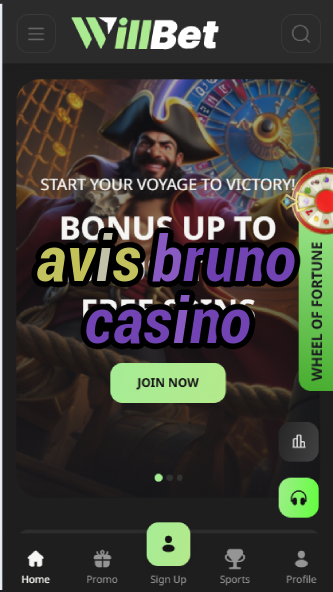 Avis Bruno Casino - French Casino Review-casinoorder.vip